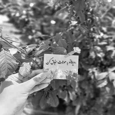 آهنگ تو شدی گل بی خار من تا ابد گرفتارتم