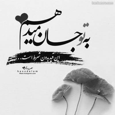 آهنگ چقدر حیفه این عشق همینجور هدر شه یکی از من و تو بره دَر به دَر شه